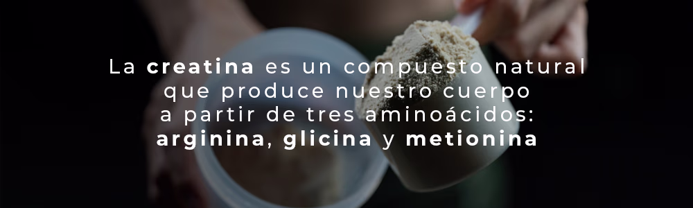 que es la creatina