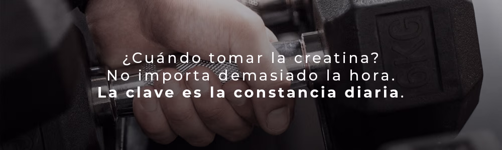 cuando y como tomar creatina